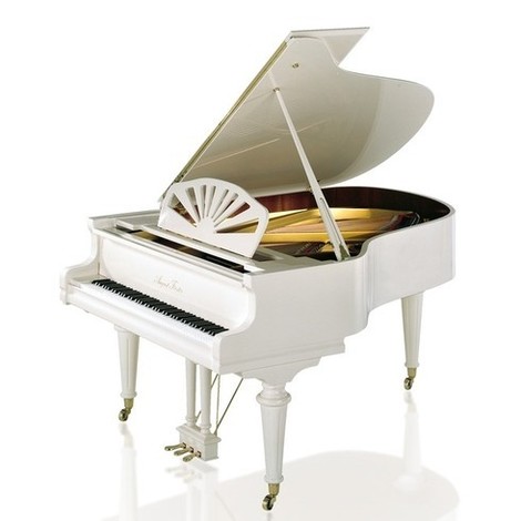 Classic - poli blanc